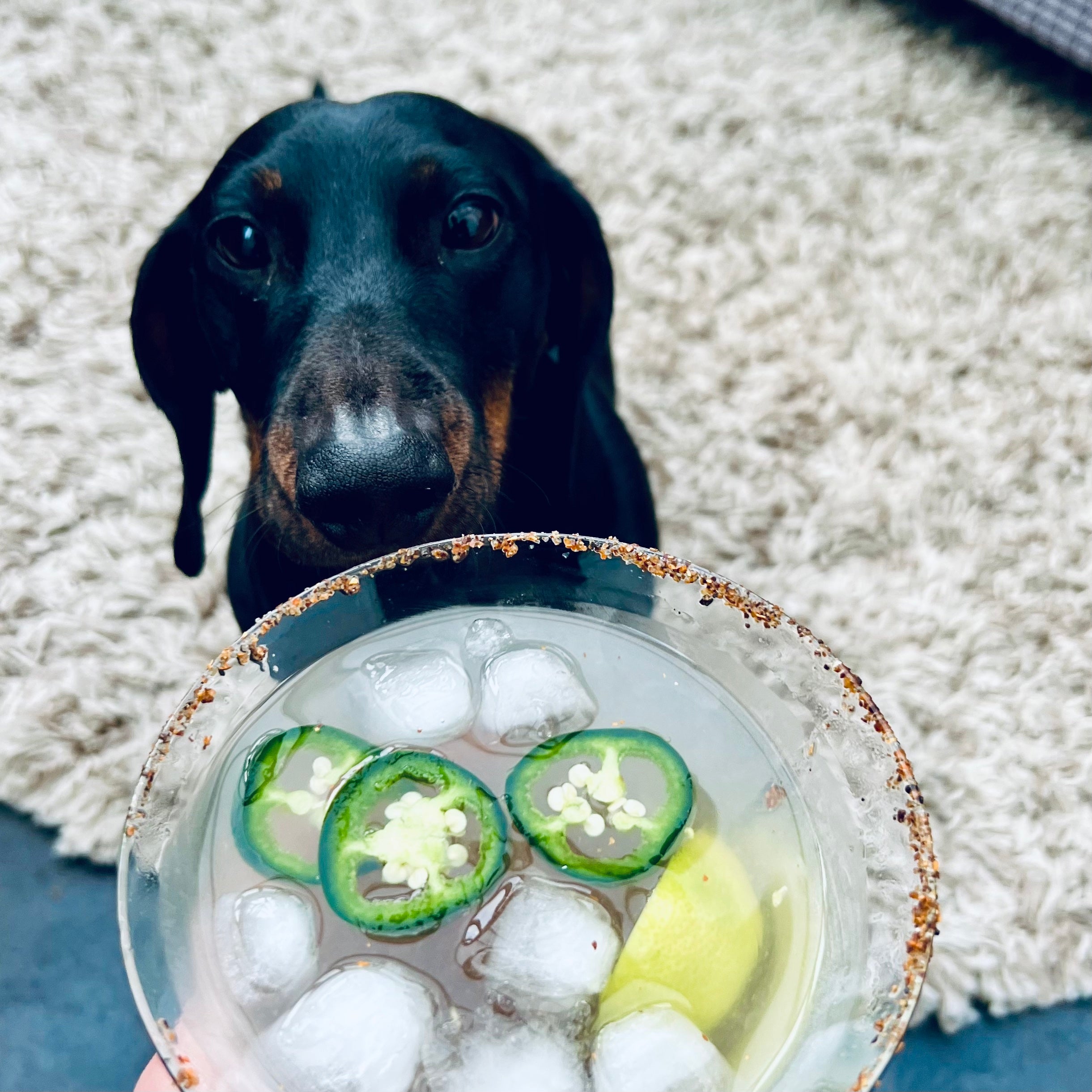 Spicy Jalapeño Margarita