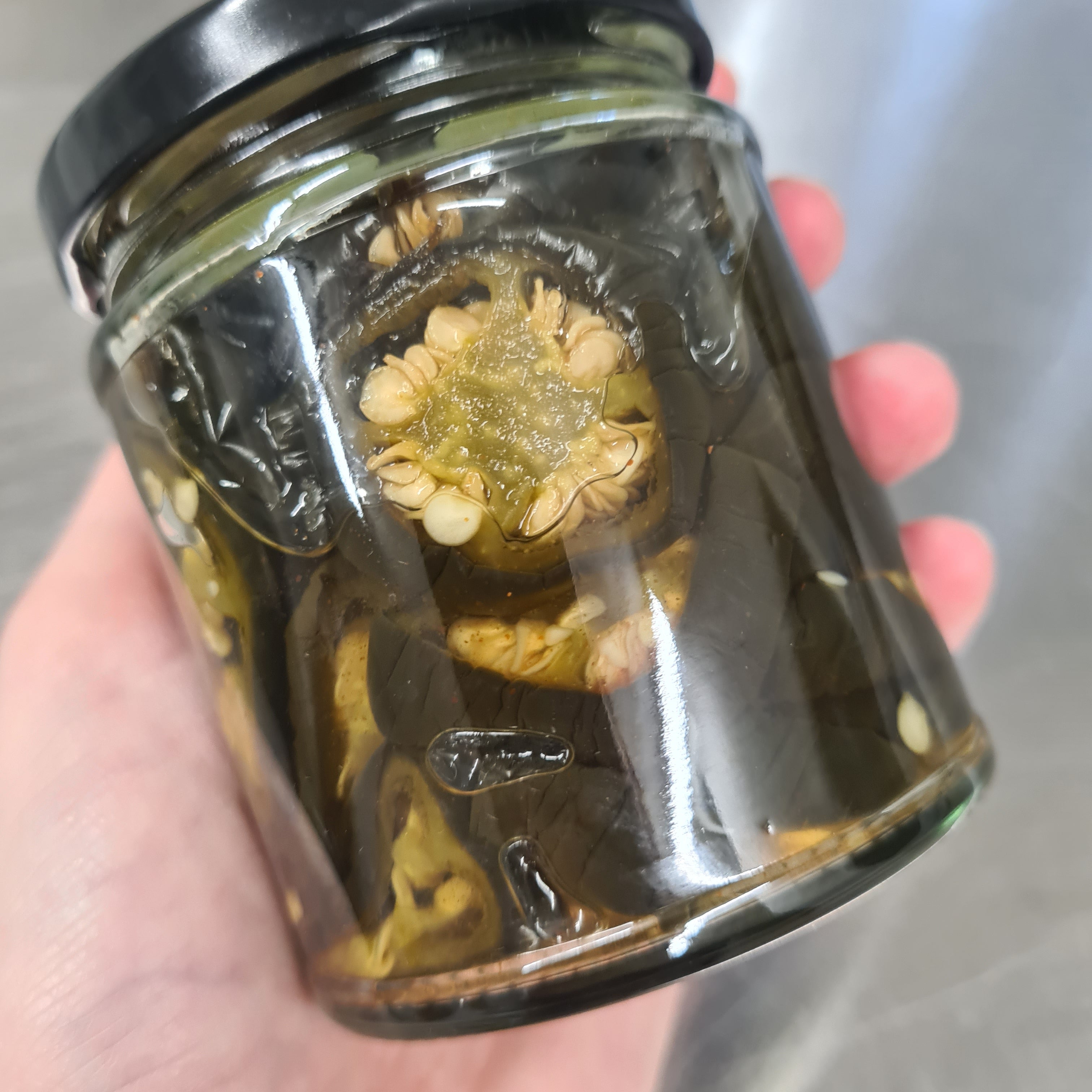 Condimaniac Maple Candied Jalapeños